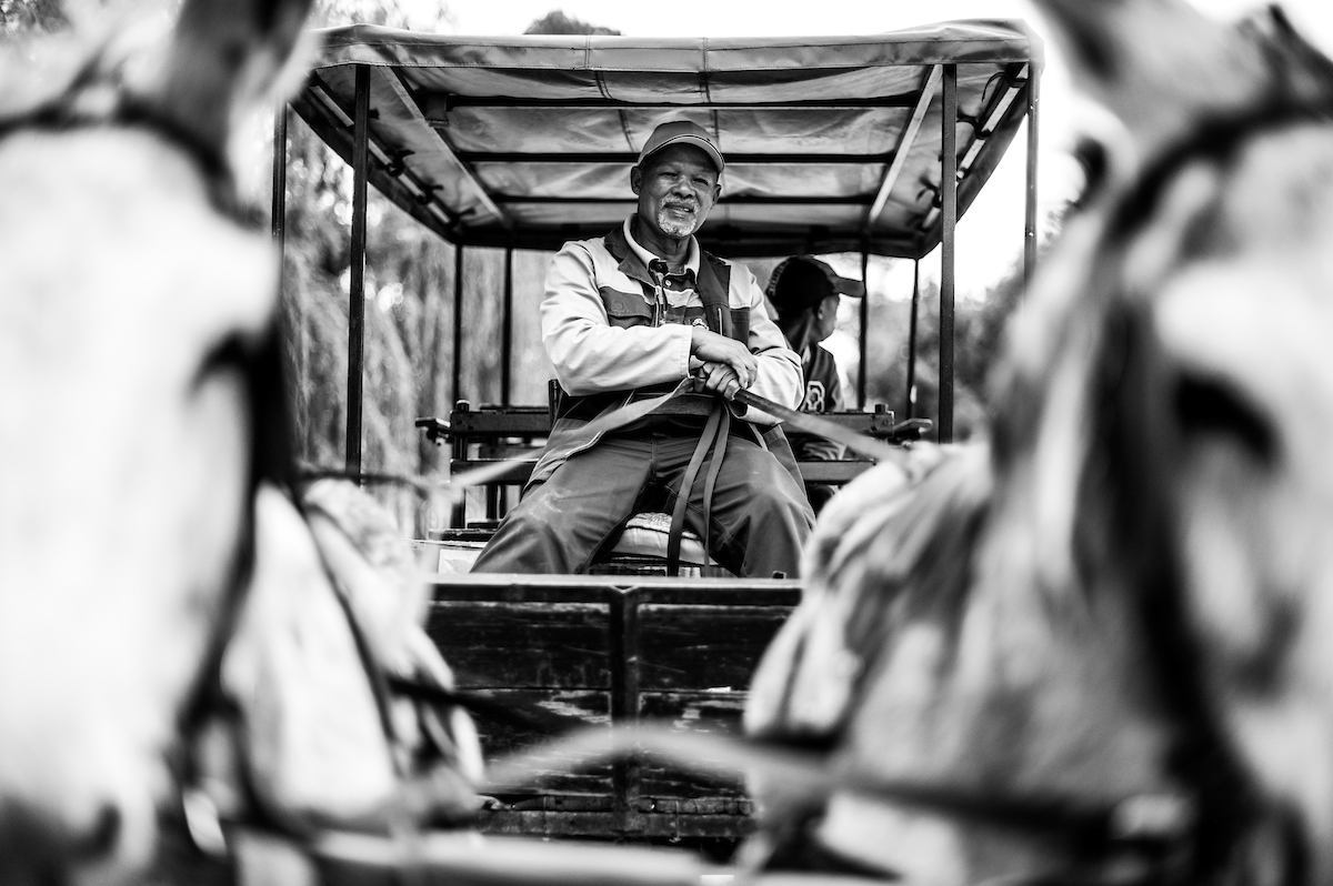 277785903 700682434699107 1208648144131383128 n.jpeg